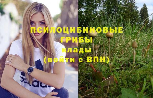 прущая мука Верхний Тагил