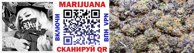 kraken маркетплейс  Кингисепп  Каннабис индика 